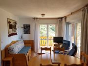 Alquiler vacaciones a pie de pistas Parque Nacional De La Vanoise: appartement n 122776