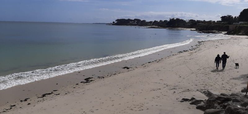 foto 4 Alquiler vacacional entre particulares Saint Pierre Quiberon maison Bretaa  Playa