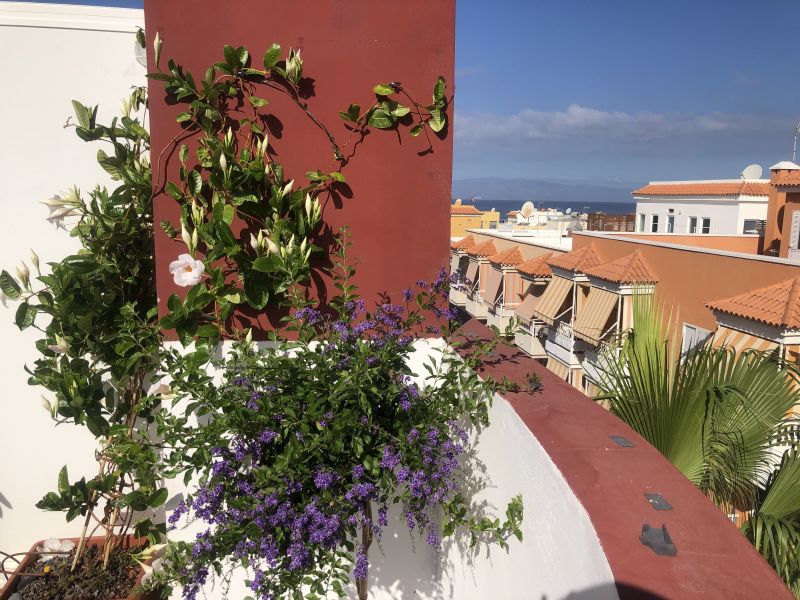 foto 1 Alquiler vacacional entre particulares Playa San Juan appartement Canarias  Vistas desde la terraza