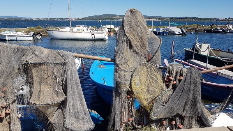 foto 10 Alquiler vacacional entre particulares Mze studio Languedoc-Roselln Hrault