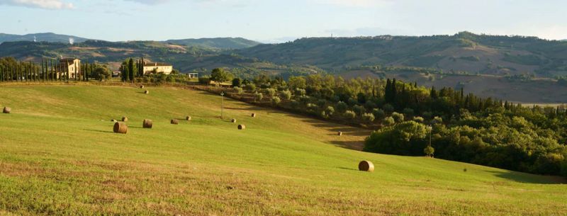 foto 10 Alquiler vacacional entre particulares Volterra gite Toscana  Vistas exteriores del alojamiento