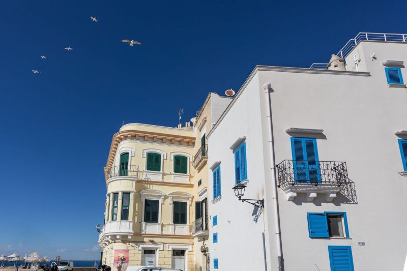 foto 14 Alquiler vacacional entre particulares Gallipoli appartement Apulia Lecce (provincia de) Vistas de las proximidades
