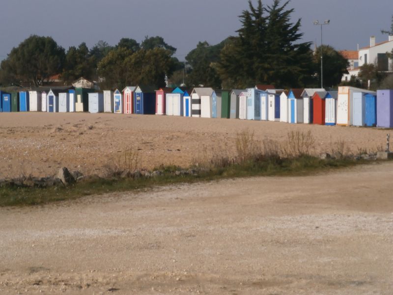 foto 13 Alquiler vacacional entre particulares Saint Georges d'Olron maison Poitou-Charentes Charente-Maritime Playa