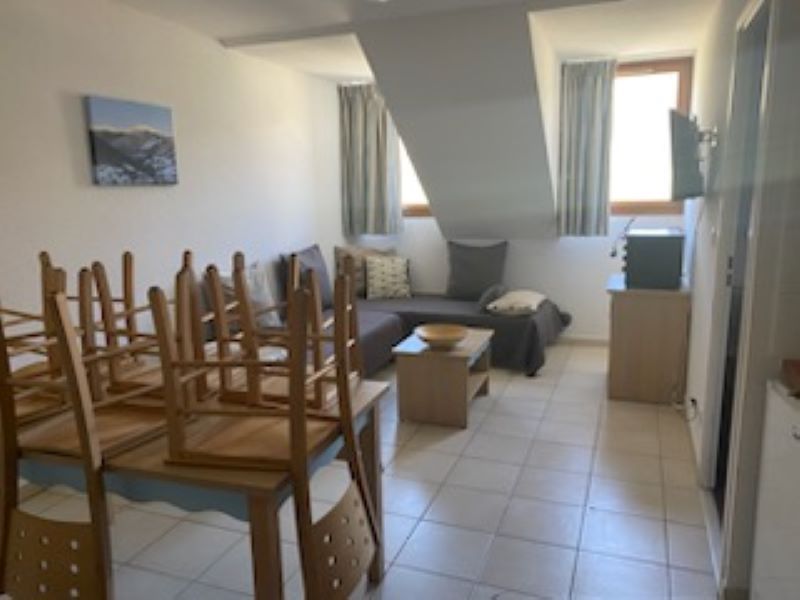 foto 1 Alquiler vacacional entre particulares Saint Lary Soulan appartement Medioda-Pirineos  Sala de estar