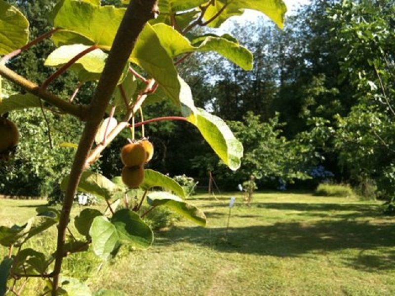 foto 13 Alquiler vacacional entre particulares Bergerac gite Aquitania Dordoa Jardn