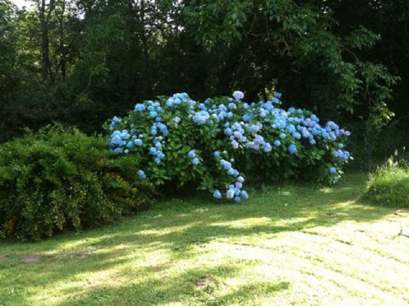 foto 14 Alquiler vacacional entre particulares Bergerac gite Aquitania Dordoa Jardn