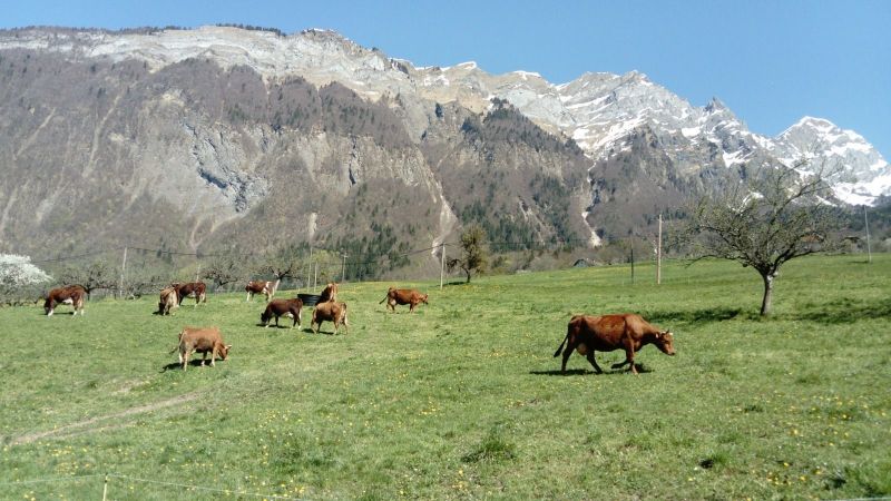 foto 15 Alquiler vacacional entre particulares Albertville gite Rdano Alpes Saboya Vistas de las proximidades