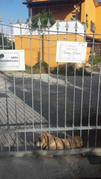 foto 8 Alquiler vacacional entre particulares Tropea appartement Calabria Vibo Valentia (provincia de) Entrada