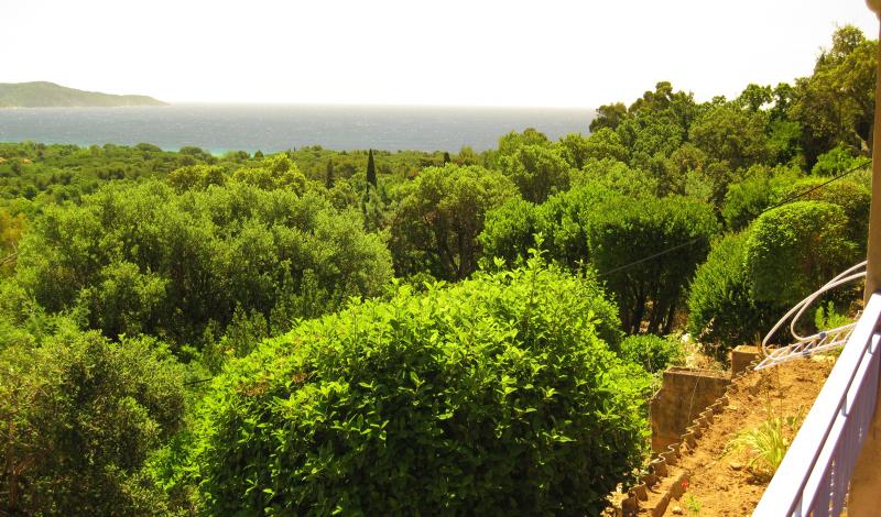 foto 0 Alquiler vacacional entre particulares Cavalaire-sur-Mer appartement Provenza-Alpes-Costa Azul Var Vistas desde la terraza