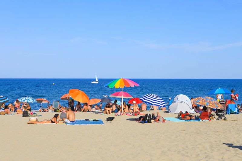 foto 14 Alquiler vacacional entre particulares Saint Cyprien Plage gite Languedoc-Roselln Pirineos Orientales