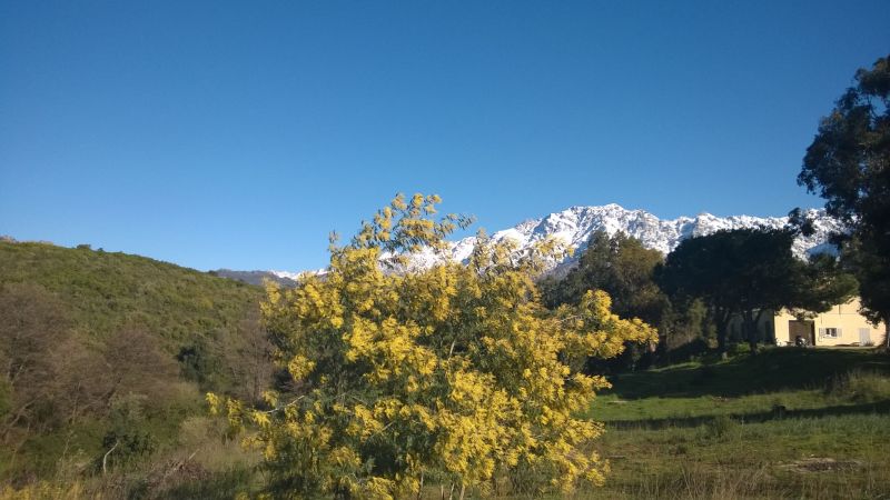 foto 25 Alquiler vacacional entre particulares Calvi appartement Crcega Alta Crcega Vistas desde el alojamiento