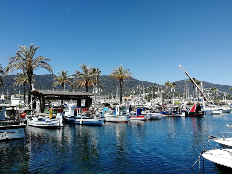 foto 0 Alquiler vacacional entre particulares Cavalaire-sur-Mer studio Provenza-Alpes-Costa Azul Var