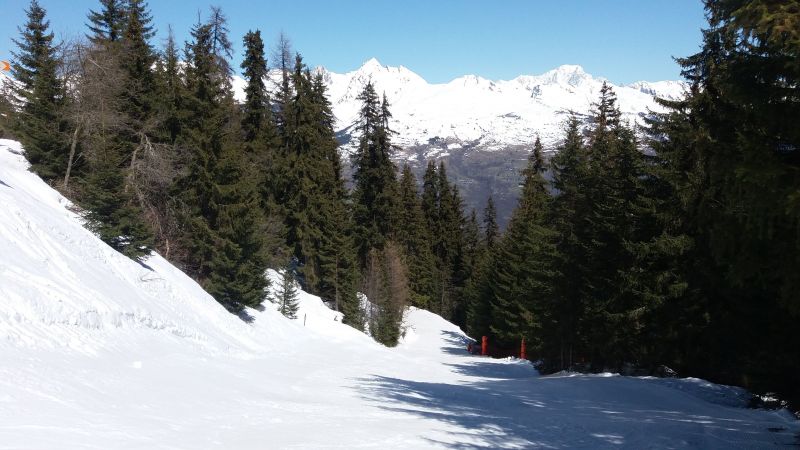 foto 19 Alquiler vacacional entre particulares La Plagne appartement Rdano Alpes Saboya Vistas de las proximidades