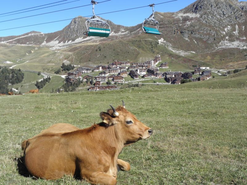 foto 29 Alquiler vacacional entre particulares La Plagne appartement Rdano Alpes Saboya Vistas de las proximidades