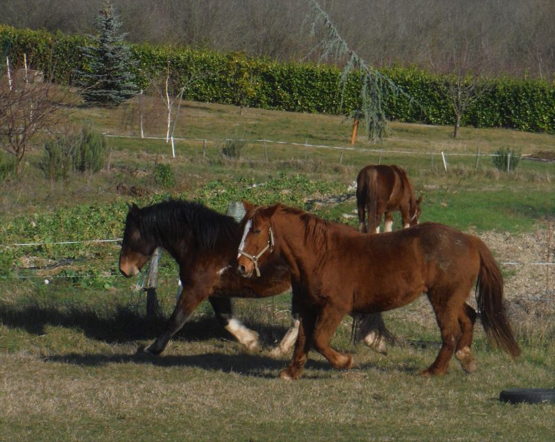 foto 18 Alquiler vacacional entre particulares Montlimar gite Rdano Alpes Drme