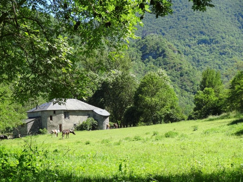 foto 16 Alquiler vacacional entre particulares Tarascon sur Arige gite Medioda-Pirineos Arige Vistas exteriores del alojamiento