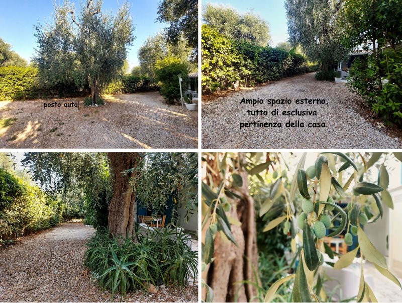 foto 4 Alquiler vacacional entre particulares Mattinata maison Apulia Foggia (provincia de) Vistas exteriores del alojamiento