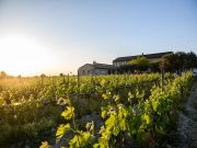 Alquiler vacaciones Sainte-Ccile-Les-Vignes para 4 personas: gite n 127756