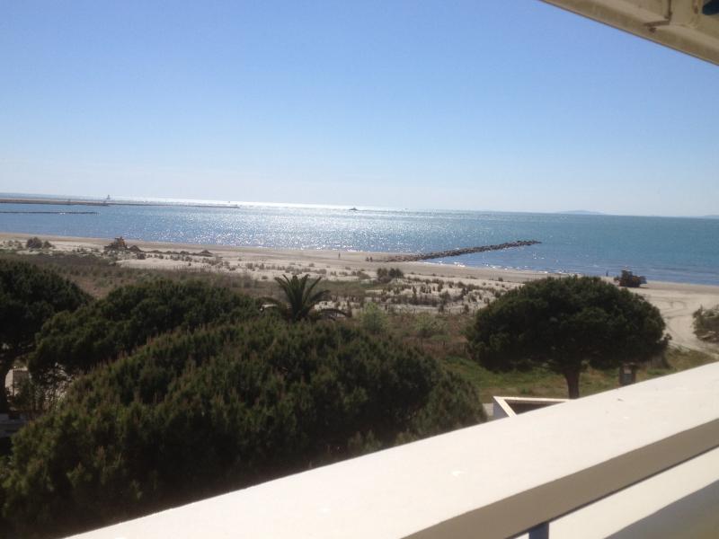 foto 0 Alquiler vacacional entre particulares Le Grau du Roi appartement Languedoc-Roselln Gard Vistas desde la terraza