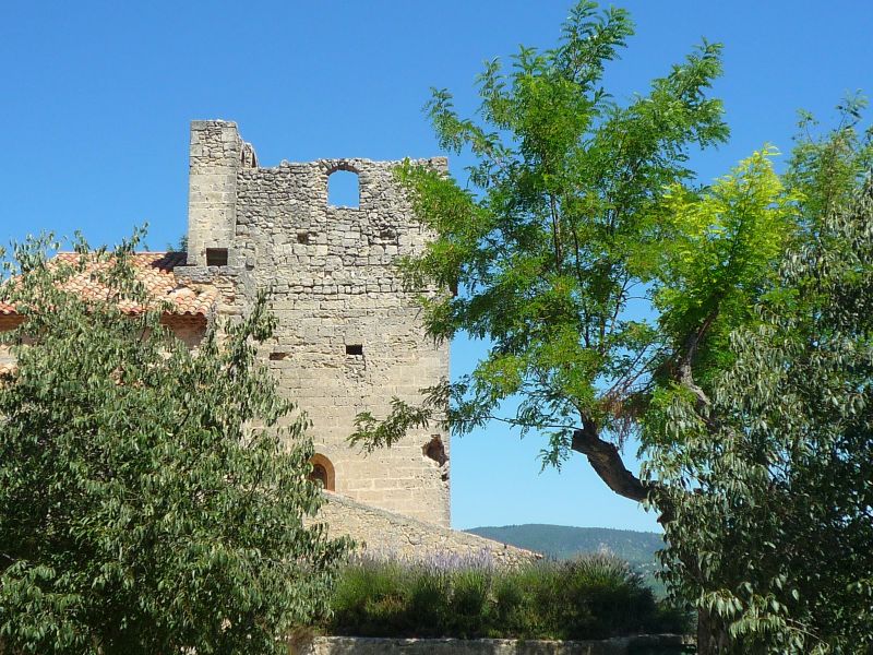 foto 17 Alquiler vacacional entre particulares La Tour d'Aigues gite Provenza-Alpes-Costa Azul Vaucluse