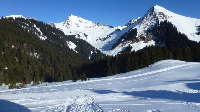 foto 16 Alquiler vacacional entre particulares Praz de Lys Sommand chalet Rdano Alpes Alta Saboya Vistas desde el alojamiento