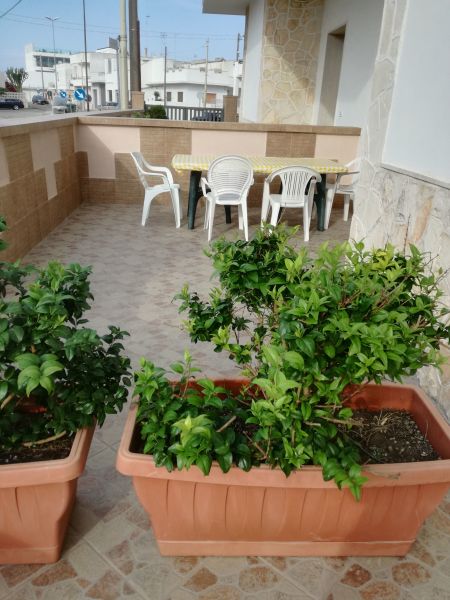 foto 4 Alquiler vacacional entre particulares San Foca appartement Apulia Lecce (provincia de) Jardn