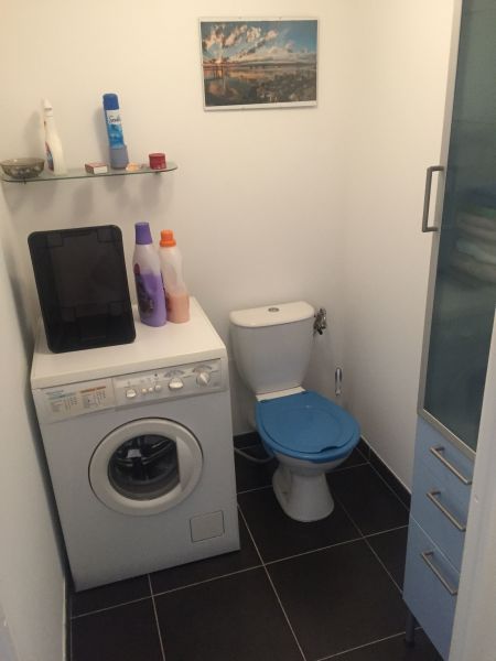 foto 6 Alquiler vacacional entre particulares Montpellier appartement Languedoc-Roselln Hrault WC separado