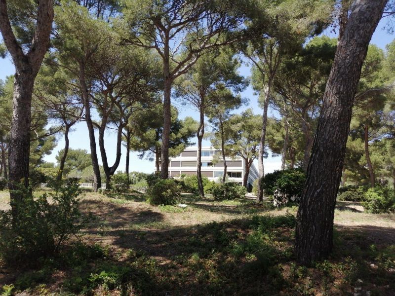 foto 4 Alquiler vacacional entre particulares Bandol appartement Provenza-Alpes-Costa Azul Var Vistas exteriores del alojamiento