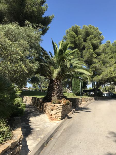 foto 7 Alquiler vacacional entre particulares Bandol appartement Provenza-Alpes-Costa Azul Var