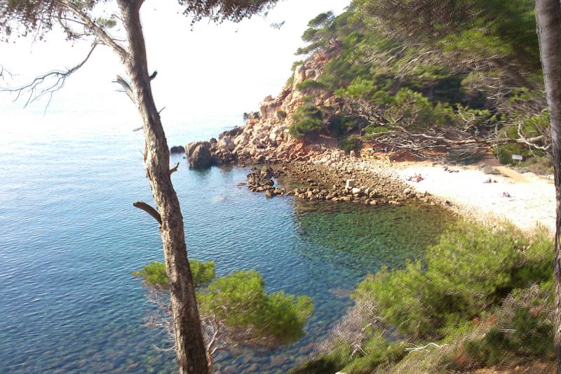 foto 0 Alquiler vacacional entre particulares Bandol appartement Provenza-Alpes-Costa Azul Var