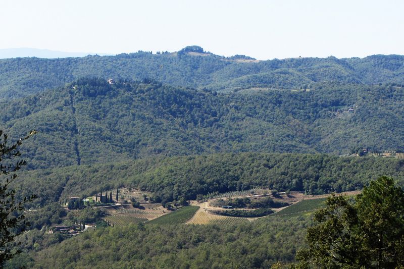 foto 22 Alquiler vacacional entre particulares Siena gite Toscana Siena (provincia de) Vistas desde el alojamiento