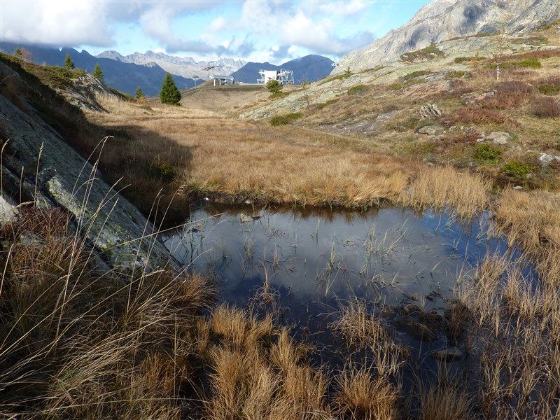 foto 4 Alquiler vacacional entre particulares Alpe d'Huez appartement Rdano Alpes Isre Vistas exteriores del alojamiento