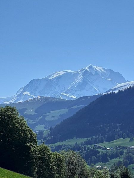 foto 27 Alquiler vacacional entre particulares Praz sur Arly studio Rdano Alpes Alta Saboya Vistas de las proximidades