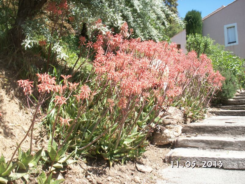 foto 13 Alquiler vacacional entre particulares Sainte Maxime appartement Provenza-Alpes-Costa Azul Var Jardn