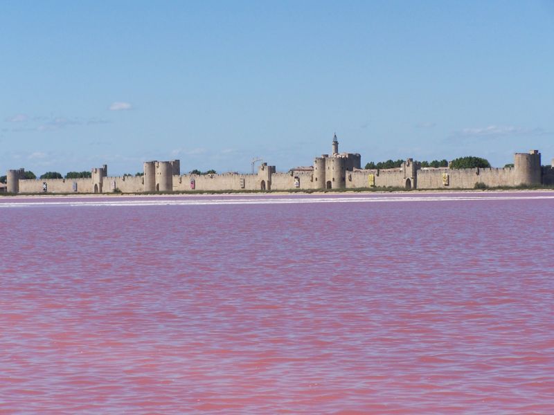 foto 21 Alquiler vacacional entre particulares Montpellier gite Languedoc-Roselln Hrault