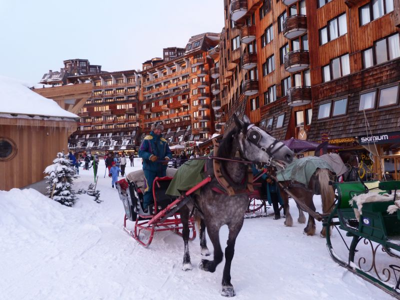 foto 5 Alquiler vacacional entre particulares Avoriaz studio Rdano Alpes Alta Saboya Otras vistas