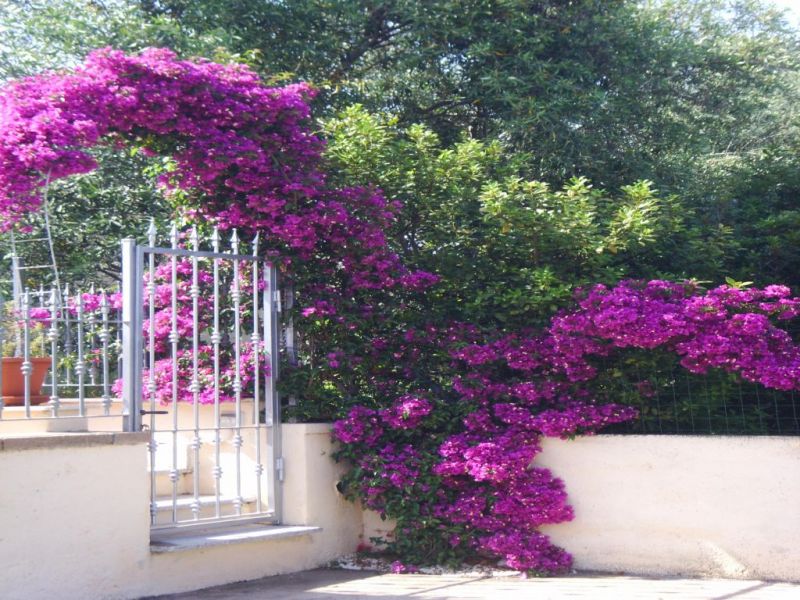 foto 0 Alquiler vacacional entre particulares San Teodoro studio Cerdea Olbia Tempio (provincia de)