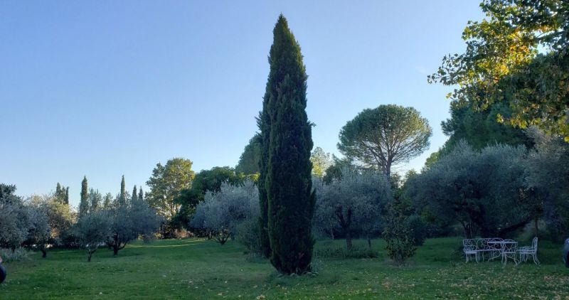 foto 2 Alquiler vacacional entre particulares Uzs maison Languedoc-Roselln Gard Jardn