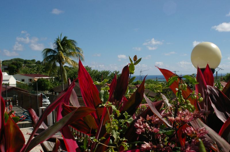 foto 23 Alquiler vacacional entre particulares Sainte Anne (Martinique) villa   Vistas desde la terraza