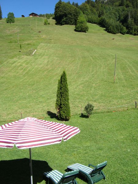 foto 1 Alquiler vacacional entre particulares Le Grand Bornand appartement Rdano Alpes Alta Saboya Vistas desde la terraza