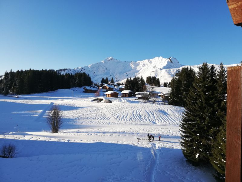 foto 8 Alquiler vacacional entre particulares Praz de Lys Sommand appartement Rdano Alpes Alta Saboya Vistas desde el balcn