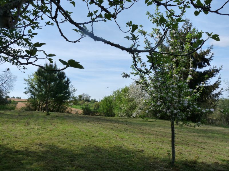 foto 0 Alquiler vacacional entre particulares Arzacq-Arraziguet maison Aquitania Pirineos Atlnticos Jardn