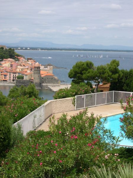 foto 1 Alquiler vacacional entre particulares Collioure appartement Languedoc-Roselln Pirineos Orientales Vistas desde el alojamiento