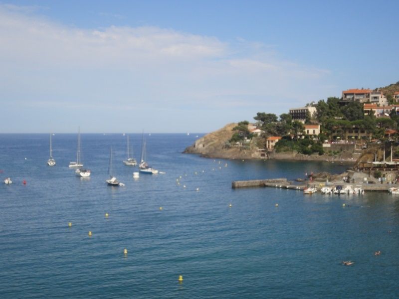 foto 0 Alquiler vacacional entre particulares Collioure appartement Languedoc-Roselln Pirineos Orientales