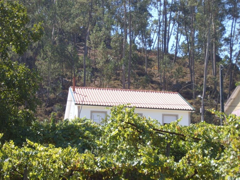 foto 1 Alquiler vacacional entre particulares Celorico de Basto maison Entre Duero y Mio  Vistas exteriores del alojamiento