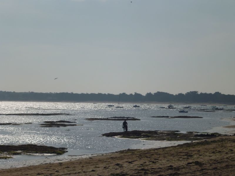 foto 16 Alquiler vacacional entre particulares Noirmoutier en l'le maison Pases del Loira Vende Playa