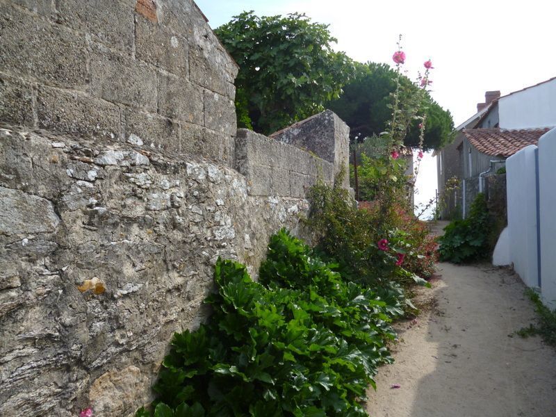 foto 22 Alquiler vacacional entre particulares Noirmoutier en l'le maison Pases del Loira Vende