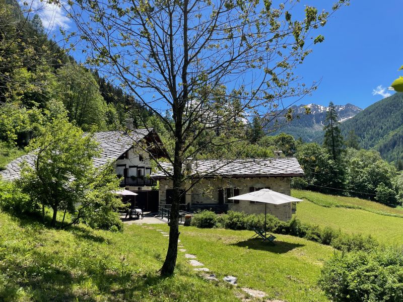 foto 0 Alquiler vacacional entre particulares Gressoney Saint Jean appartement Valle de Aosta Aosta (provincia de) Jardn