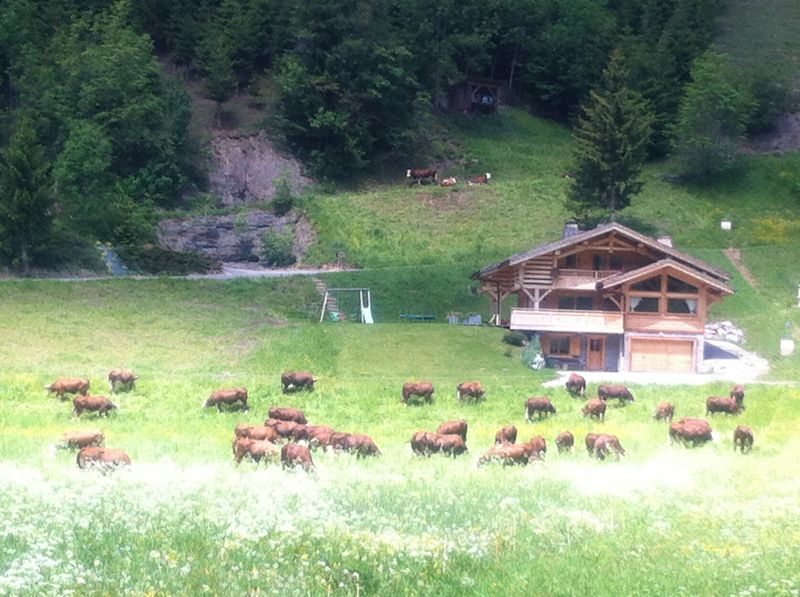 foto 13 Alquiler vacacional entre particulares Le Grand Bornand chalet Rdano Alpes Alta Saboya Vistas desde el alojamiento