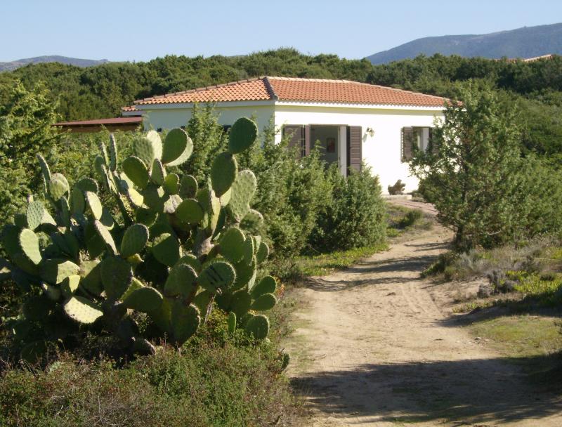 foto 0 Alquiler vacacional entre particulares Badesi maison Cerdea Olbia Tempio (provincia de) Vistas exteriores del alojamiento